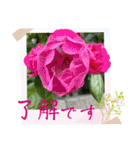 お花の毎日敬語stamp（個別スタンプ：18）