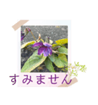 お花の毎日敬語stamp（個別スタンプ：20）