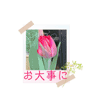 お花の毎日敬語stamp（個別スタンプ：21）
