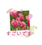お花の毎日敬語stamp（個別スタンプ：22）
