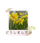 お花の毎日敬語stamp（個別スタンプ：23）