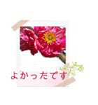 お花の毎日敬語stamp（個別スタンプ：24）