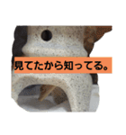 日常に使う言葉。ニホンヤモリくんたち（個別スタンプ：18）