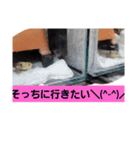 日常に使う言葉。ニホンヤモリくんたち（個別スタンプ：19）