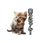 子猫の気持ちじゃにゃん！（個別スタンプ：8）