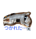 CrystalHasMaraDogs2（個別スタンプ：18）