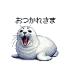 ドット絵 ゴマフアザラシ 日常会話（個別スタンプ：4）