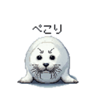 ドット絵 ゴマフアザラシ 日常会話（個別スタンプ：10）