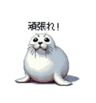 ドット絵 ゴマフアザラシ 日常会話（個別スタンプ：17）