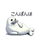 ドット絵 ゴマフアザラシ 日常会話（個別スタンプ：25）