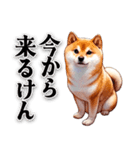 博多弁でなんか言ってる柴犬（個別スタンプ：19）