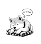 漫画な柴犬 ずっと使える（個別スタンプ：3）