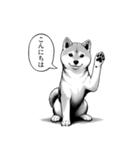 漫画な柴犬 ずっと使える（個別スタンプ：4）