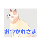 水彩画の猫  1（個別スタンプ：8）