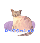 水彩画の猫  1（個別スタンプ：13）