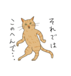 猫かぶり！ていねいな猫チャンたち（個別スタンプ：14）