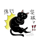 猫かぶり！ていねいな猫チャンたち（個別スタンプ：16）