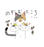 猫かぶり！ていねいな猫チャンたち（個別スタンプ：28）