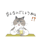 猫かぶり！ていねいな猫チャンたち（個別スタンプ：29）