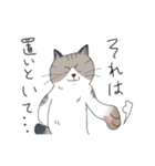 猫かぶり！ていねいな猫チャンたち（個別スタンプ：39）