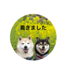 ハチとうに 4（個別スタンプ：12）