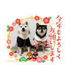 ハチとうに 4（個別スタンプ：16）