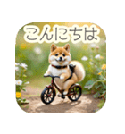 サイクリング柴犬の日常（個別スタンプ：2）