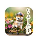 サイクリング柴犬の日常（個別スタンプ：5）