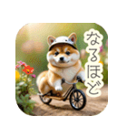 サイクリング柴犬の日常（個別スタンプ：6）