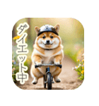 サイクリング柴犬の日常（個別スタンプ：17）