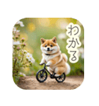 サイクリング柴犬の日常（個別スタンプ：21）