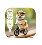 サイクリング柴犬の日常（個別スタンプ：22）