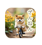 サイクリング柴犬の日常（個別スタンプ：24）