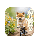 サイクリング柴犬の日常（個別スタンプ：26）