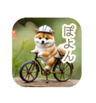 サイクリング柴犬の日常（個別スタンプ：31）