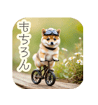 サイクリング柴犬の日常（個別スタンプ：35）