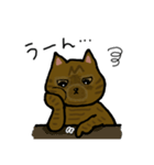 まんまるスコティッシュホールド むっく（個別スタンプ：17）