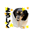 Leni's（個別スタンプ：2）