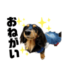 Leni's（個別スタンプ：3）