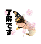 Leni's（個別スタンプ：4）