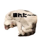 リオさん2（個別スタンプ：7）
