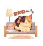 三毛猫といっしょ♡（個別スタンプ：7）