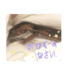 山本さんちのじるちゃん（個別スタンプ：15）