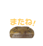 山本さんちのじるちゃん（個別スタンプ：16）