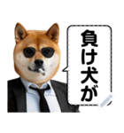 柴犬ミームスタンプ【面白い・犬・可愛い】（個別スタンプ：1）