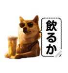 柴犬ミームスタンプ【面白い・犬・可愛い】（個別スタンプ：6）