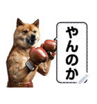 柴犬ミームスタンプ【面白い・犬・可愛い】（個別スタンプ：9）