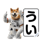 柴犬ミームスタンプ【面白い・犬・可愛い】（個別スタンプ：10）