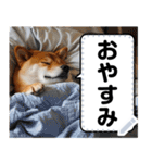 柴犬ミームスタンプ【面白い・犬・可愛い】（個別スタンプ：14）
