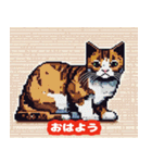 40種類の猫スタンプにゃん（個別スタンプ：1）